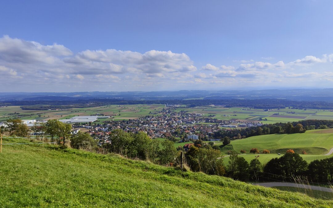 Entwicklung der Biodiversitätsflächen